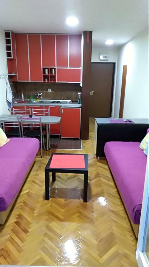 Suncani Apartman 1-Vila Amfora 布德瓦 外观 照片